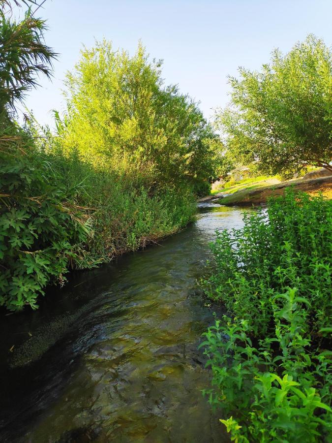 Villa By The River Facing The Hermon In Metsudat Menahem Ussishkin Alef Exterior foto