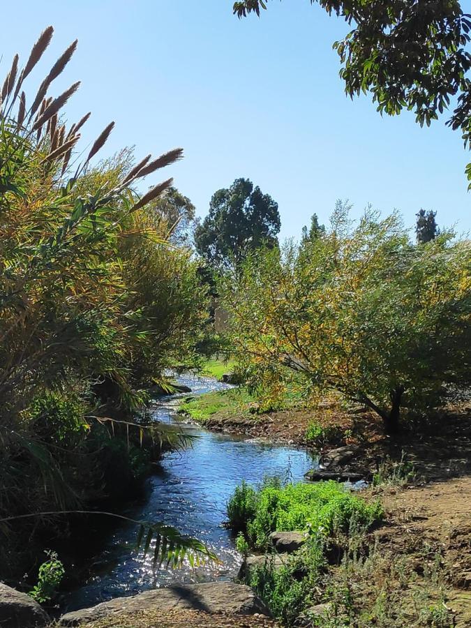 Villa By The River Facing The Hermon In Metsudat Menahem Ussishkin Alef Exterior foto
